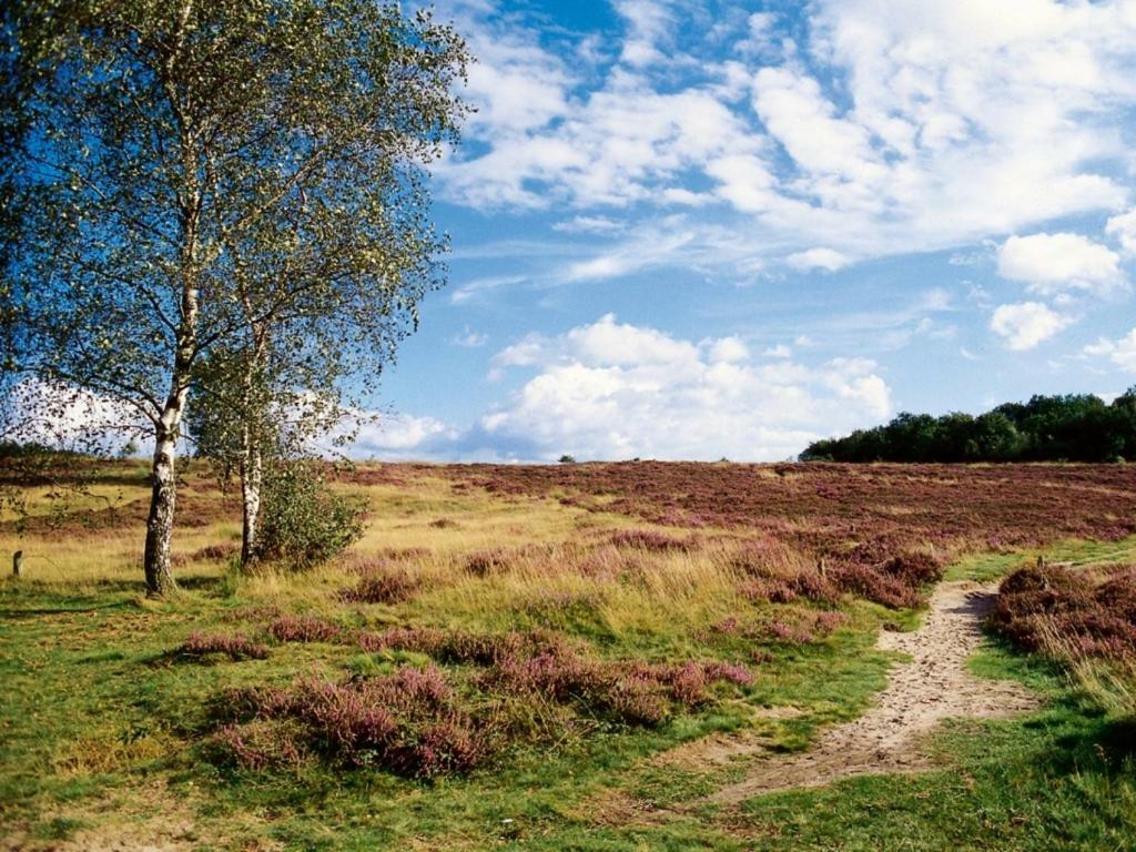 ホテルLandal Hunerwold State Wateren エクステリア 写真